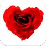 Logo of Imagenes Amor Bonitas android Application 